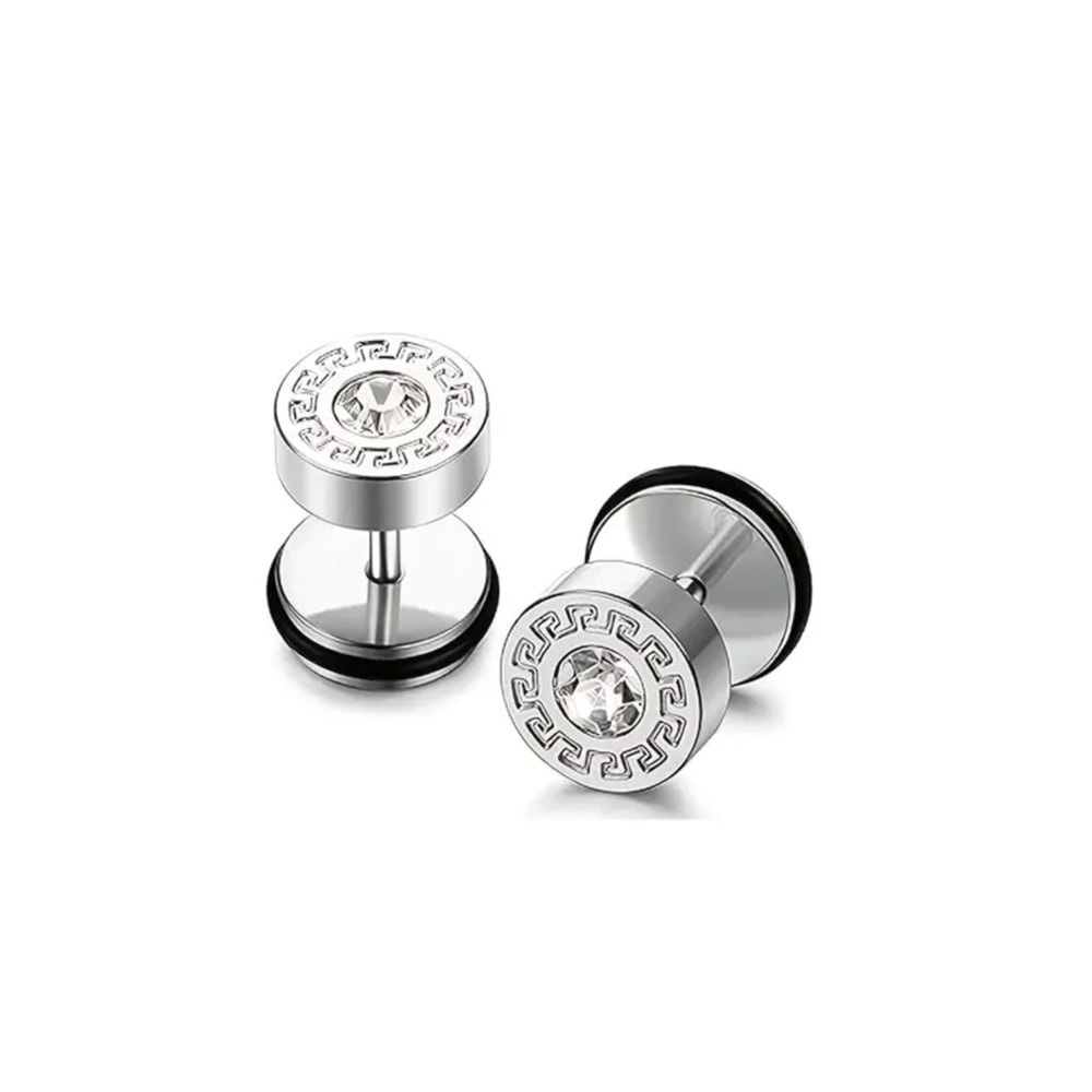 ERKEK ÇELİK ARKADAN VİDALI BARBELL KÜPE 6MM-GÜMÜŞ RENK ACR5475