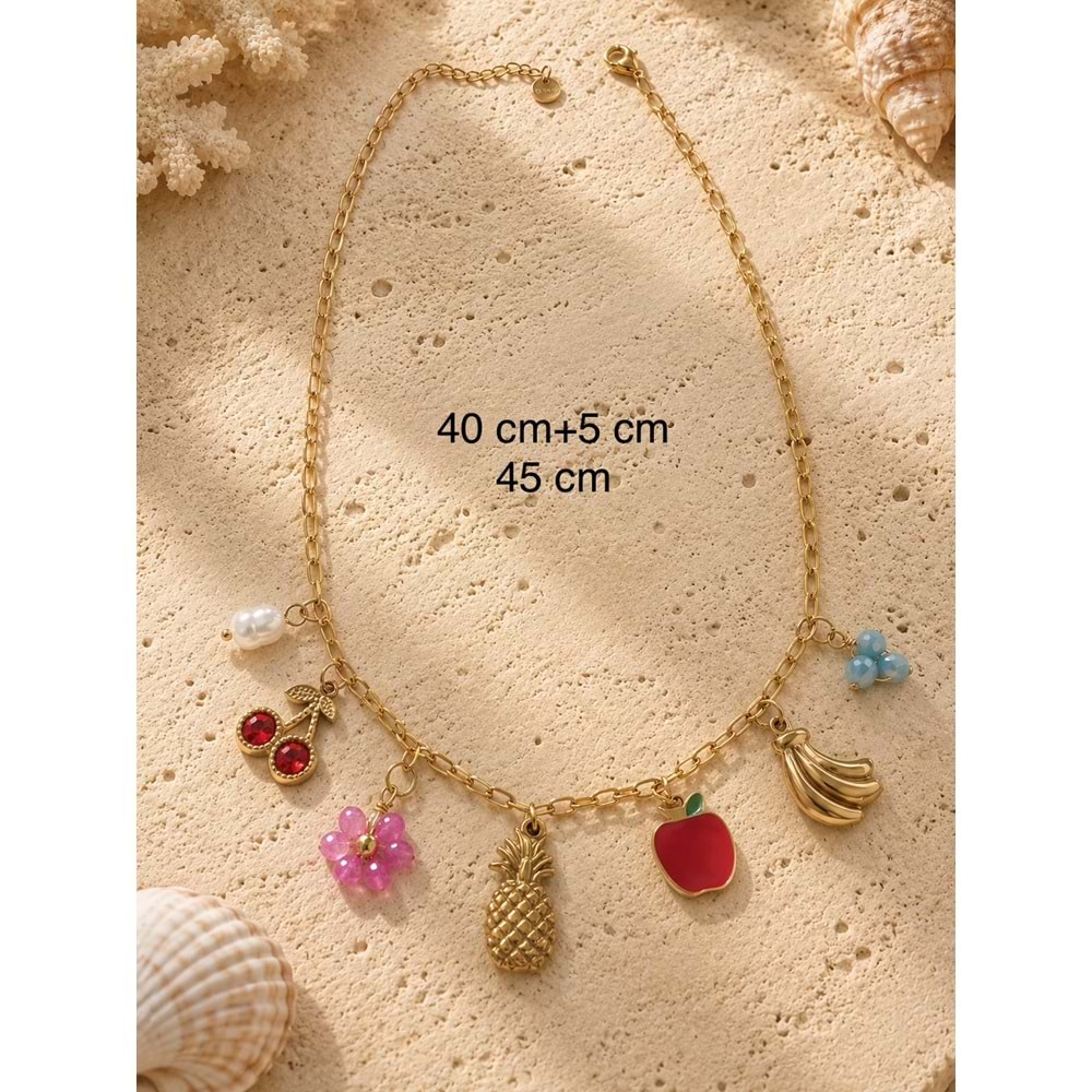 MEYVE CHARMLI ÇELİK KOLYE 40+5CM ACR9845