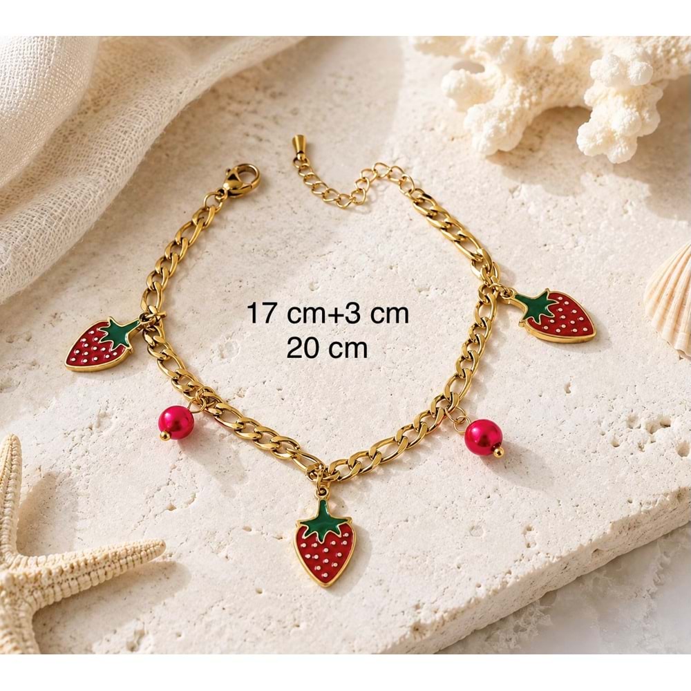 ÇİLEK CHARMLI ÇELİK BİLEKLİK 17+3CM ACR9910
