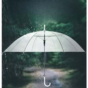 ŞEFFAF, KALİTELİ, BASTONLU 8 TEL ŞEMSİYE ACR7520