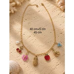MEYVE CHARMLI ÇELİK KOLYE 40+5CM ACR9845