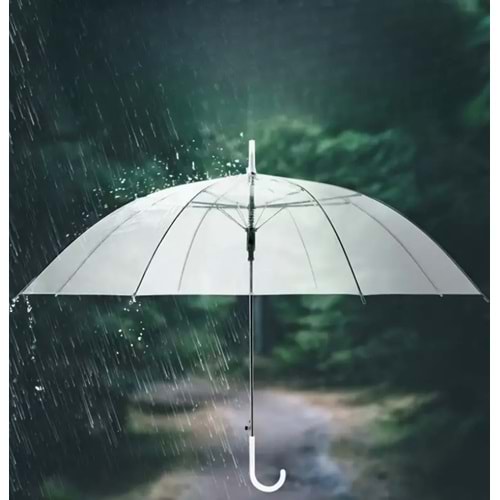 ŞEFFAF, KALİTELİ, BASTONLU 8 TEL ŞEMSİYE ACR7520